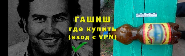 шишки Медногорск