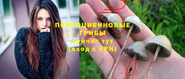 шишки Медногорск