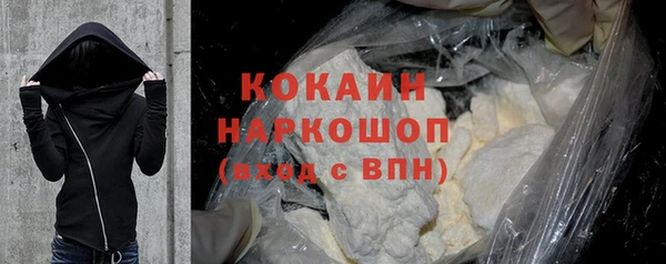 шишки Медногорск