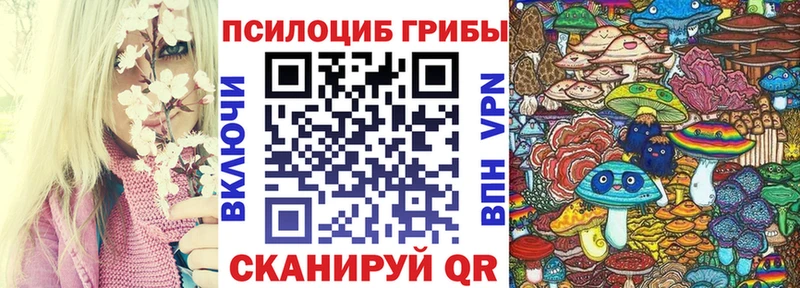 мега сайт  Дзержинск  Псилоцибиновые грибы прущие грибы  даркнет сайт 