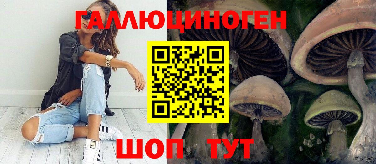 Псилоцибиновые грибы ЛСД Дзержинск